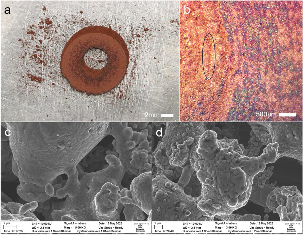 Macro detail of copper powder used in the inverted sintering process