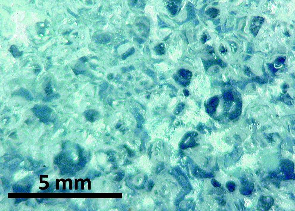 Microscope view of open-cell elastomer foam with a 5 millimeter scale bar